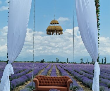 Lavanda tarlaları - turistləri cəlb edən məkan