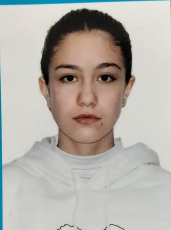 Firuzə İbrahimli - Bayrağı kim sancıb?